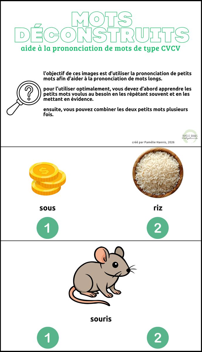 Aperçu du document « Mots déconstruits CVCV »
