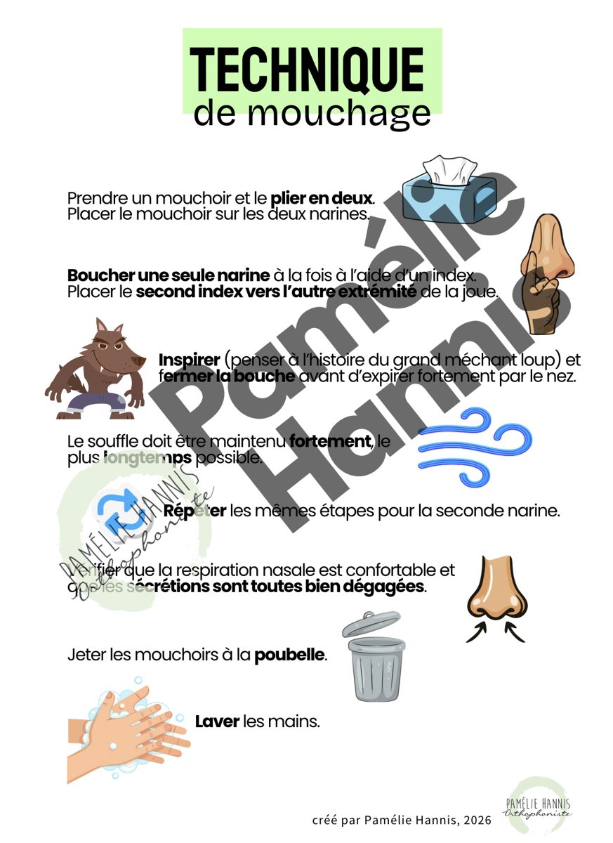 Aperçu du document « Technique de mouchage »